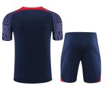 23/24 PSG Paris Blue 1:1 Quality Training Jersey（A-Set）