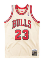 NBA Mitchell & Ness Jordan 1995 bulls Vintage Jersey 1:1 Quality