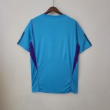 2023 Argentina Blue 3 Stars Fans Version 1:1 Quality Training Shirt