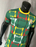23/24 Senegal Away Player 1:1 Quality Soccer Jersey
