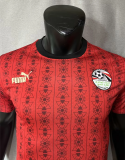 23/24 Egypt Home Player 1:1 Quality Soccer Jersey