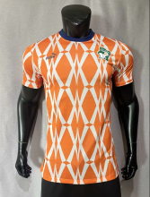 23/24 Cote d'Ivoire Home Player 1:1 Quality Soccer Jersey
