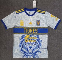 23/24 Tiger Special Edition Fans 1:1 Quality Soccer Jersey