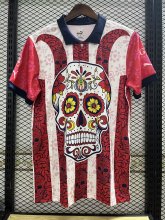 23/24 Chivas Special Edition Fans 1:1 Quality Soccer Jersey