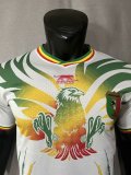 22/23 Mali Home Player 1:1 Quality Soccer Jersey