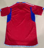 22/23 Chile Home Fans 1:1 Quality Soccer Jersey