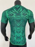 23/24 Mexico Special Edition Green Player 1:1 Quality Soccer Jersey
