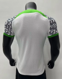 2023 Nigeria Away Player 1:1 Quality Soccer Jersey