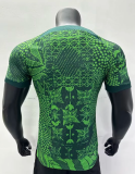 2023 Nigeria Home Player 1:1 Quality Soccer Jersey