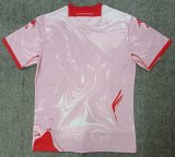 23/24 Fiorentina Pink Fans 1:1 Quality Soccer Jersey