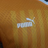 23/24 Cote d'Ivoire Home 3-Stars Player 1:1 Quality Soccer Jersey
