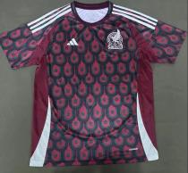 24/25 Mexico Away Fans 1:1 Quality Soccer Jersey