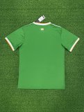 24/25 Ireland Home Green Fans 1:1 Quality Soccer Jersey