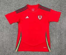 24/25 Wales Home Fans 1:1 Quality Soccer Jersey