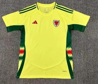 24/25 Wales Away Fans 1:1 Quality Soccer Jersey