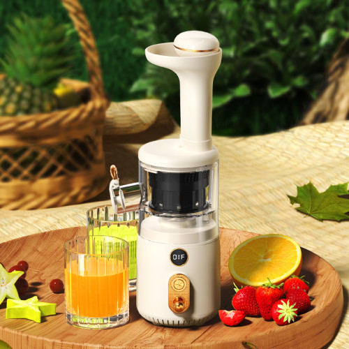 OEM 5200mAh Portable Home Mini Slow Juicer with Type-C