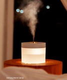 Large Capacity Table Top Humidifier Portable Rechargeable LED Night Light Diffuser Humidifier