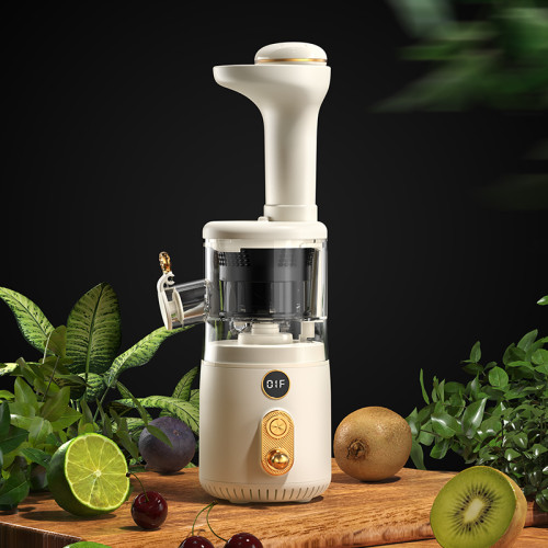 Hot Selling Outdoors Portable Mini Juicer vegetable And Fruit juicer