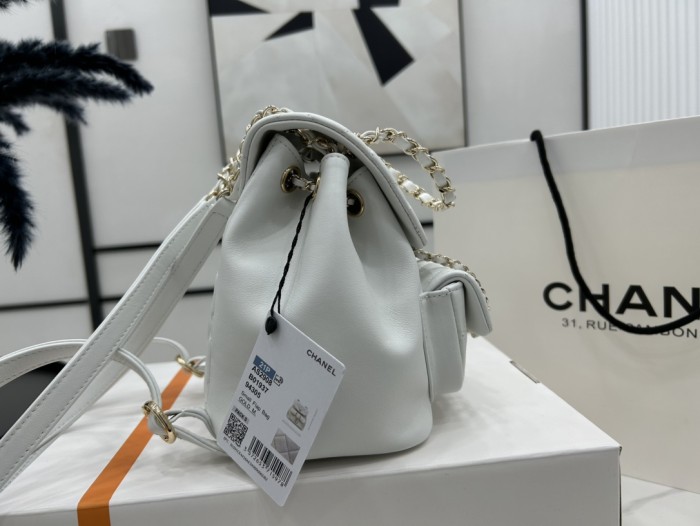 CHANEL bags