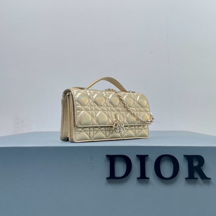 Dior Bag