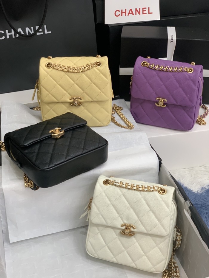 CHANEL bags AS3108