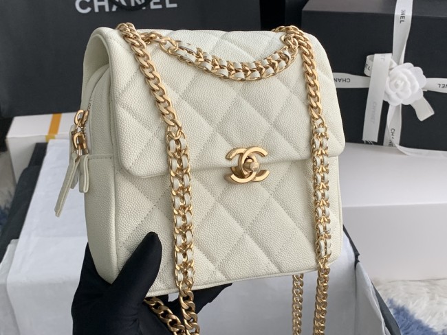 CHANEL bags AS3108