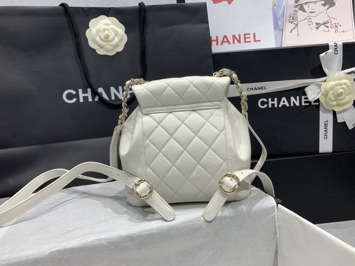 CHANEL bags AS2908