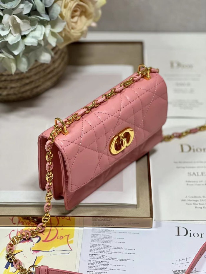 Dior Bag