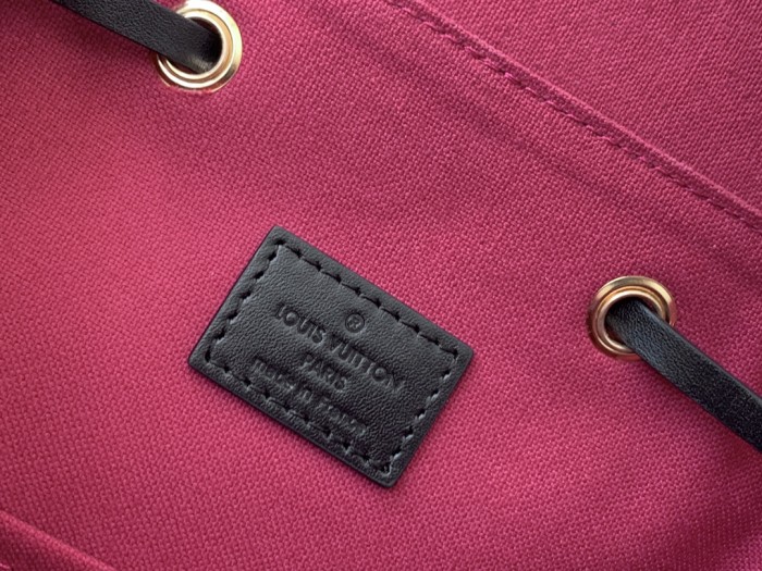 LV Backpack