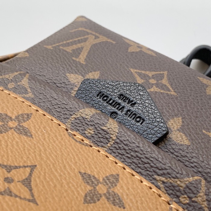 LV Backpack