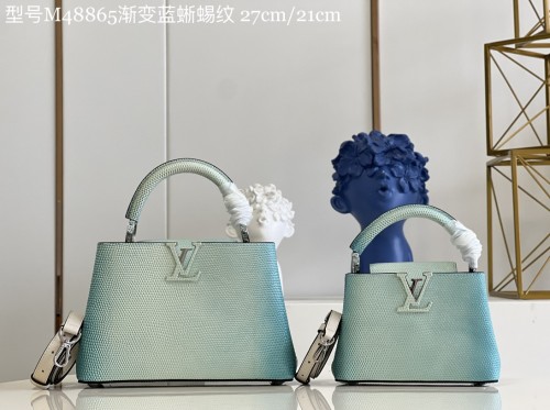 LV Bag M48865