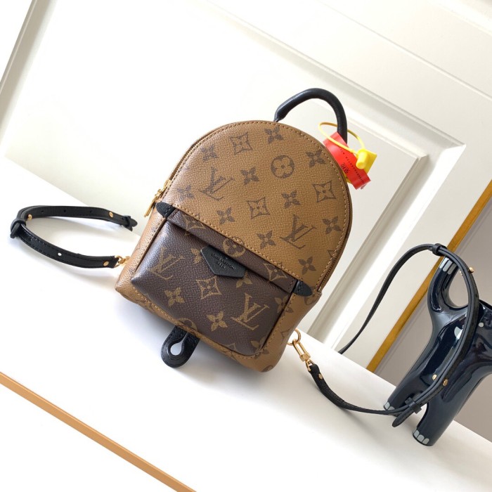 LV Backpack