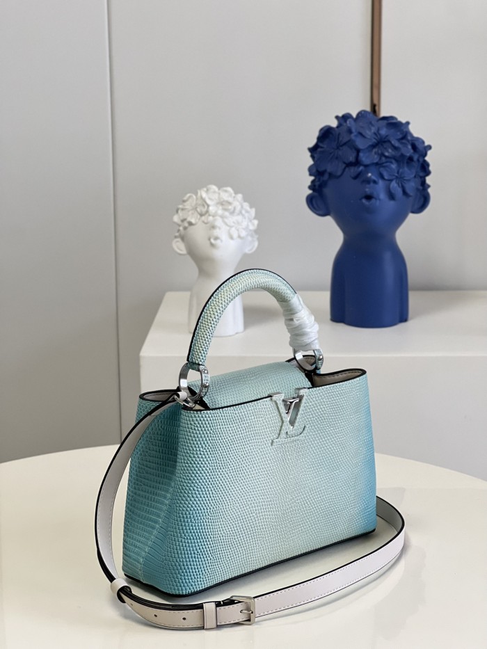 LV Bag M48865