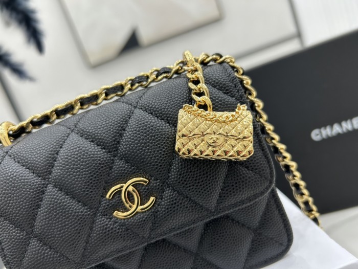CHANEL bags
