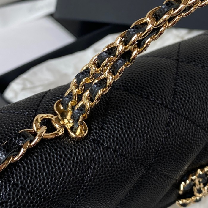 CHANEL bags