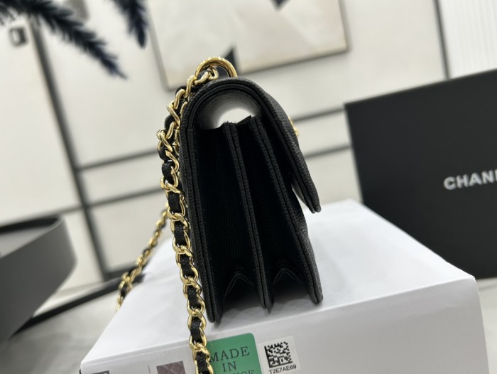 CHANEL bags