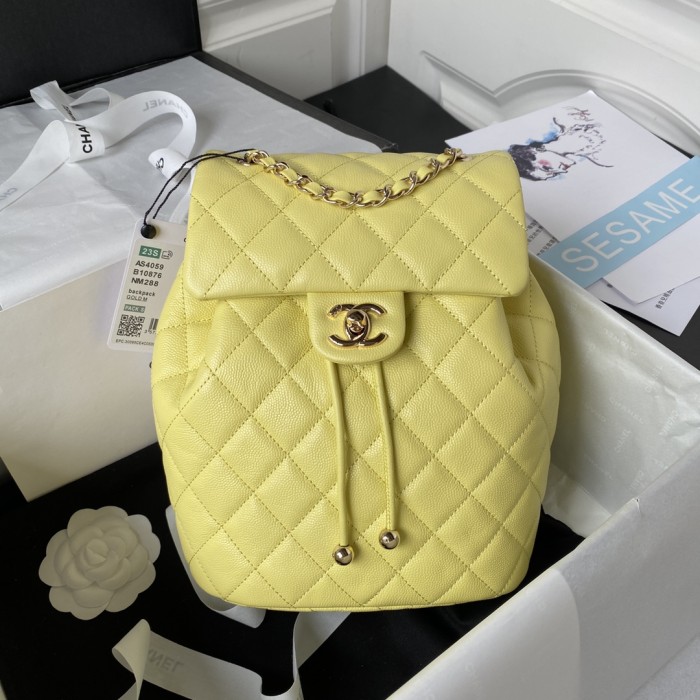 CHANEL bags