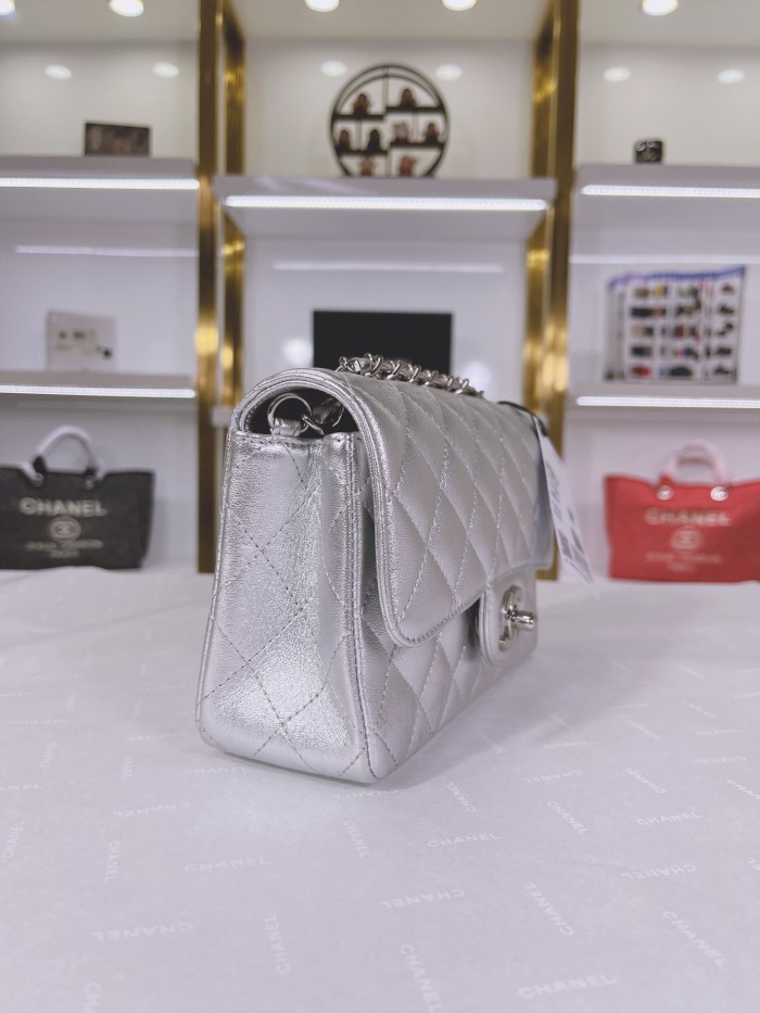 CHANEL bags