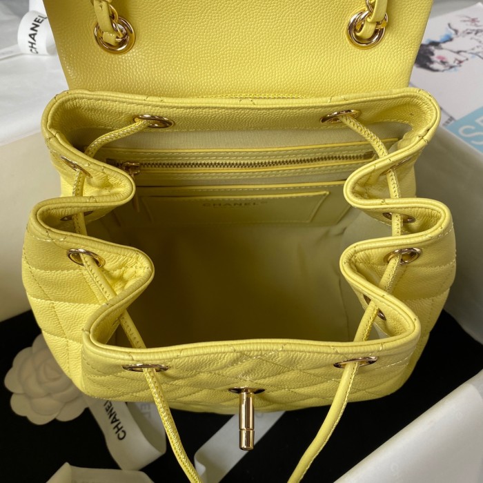 CHANEL bags