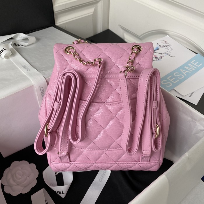 CHANEL bags