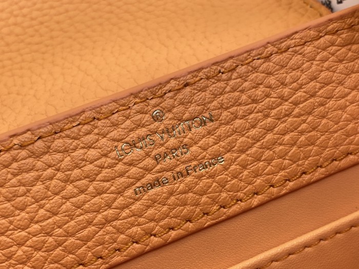 LV Bag M22055