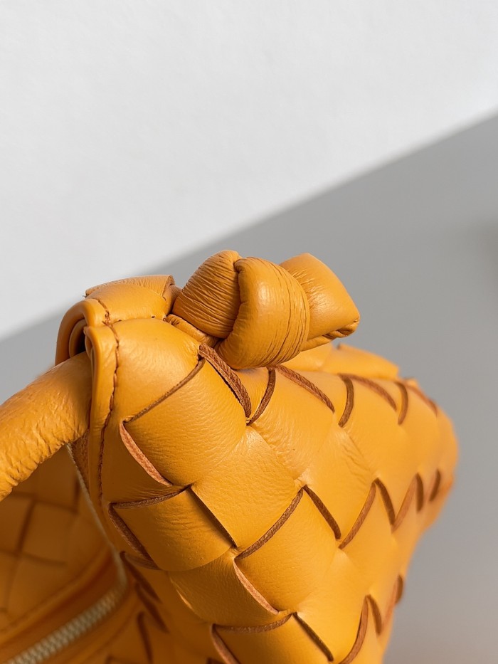 Bottega Veneta bag