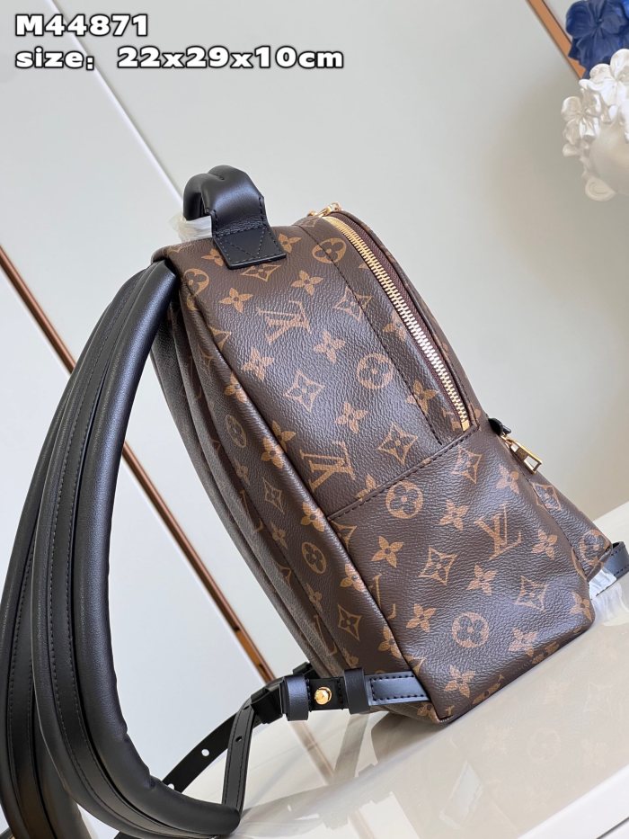 LV Backpack