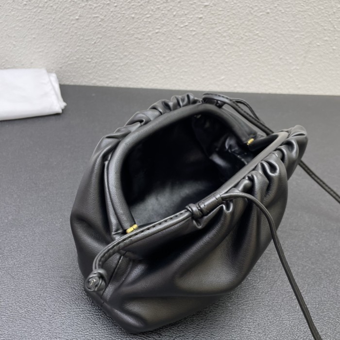 Bottega Veneta bag