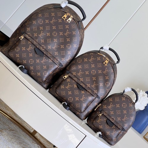 LV Backpack