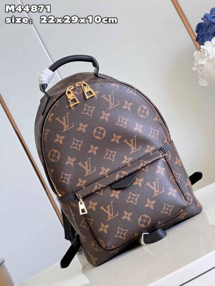 LV Backpack