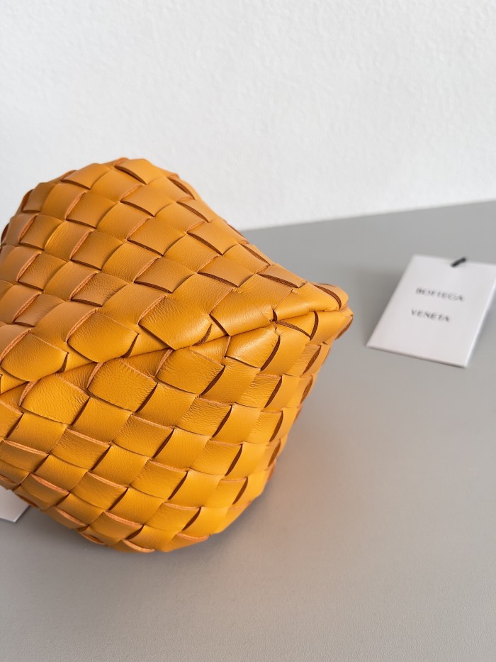 Bottega Veneta bag