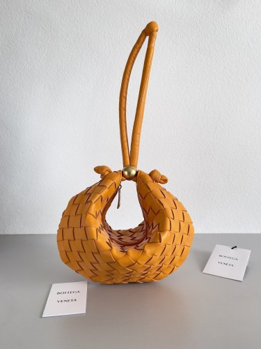 Bottega Veneta bag