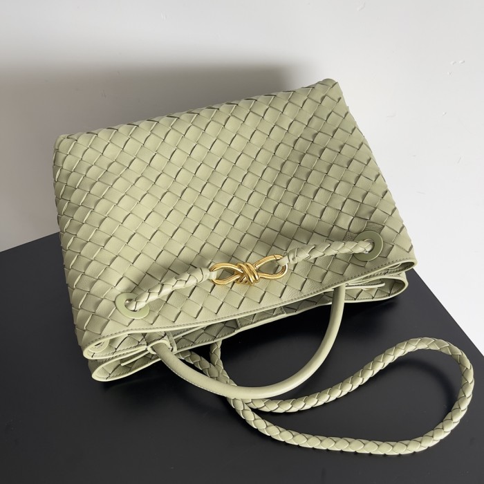 Bottega Veneta bag
