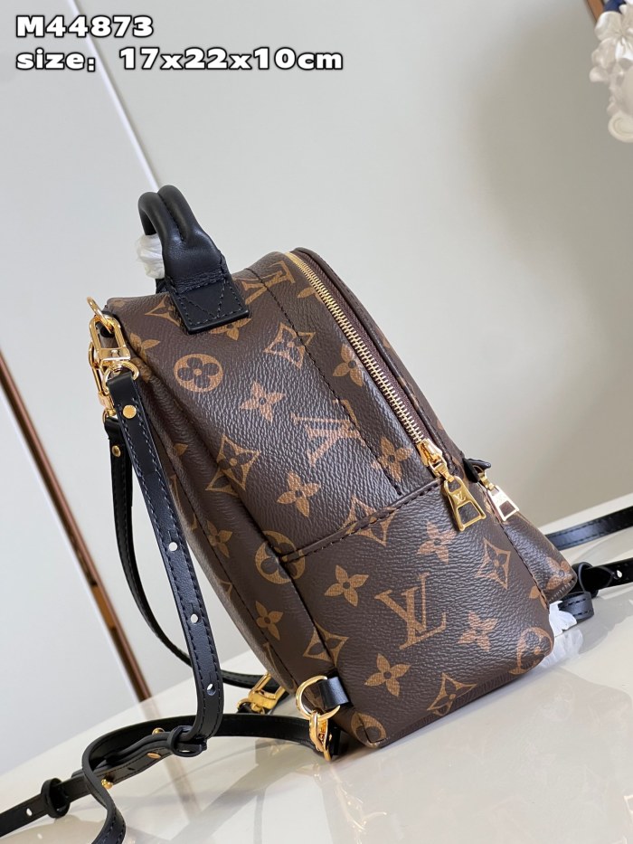 LV Backpack